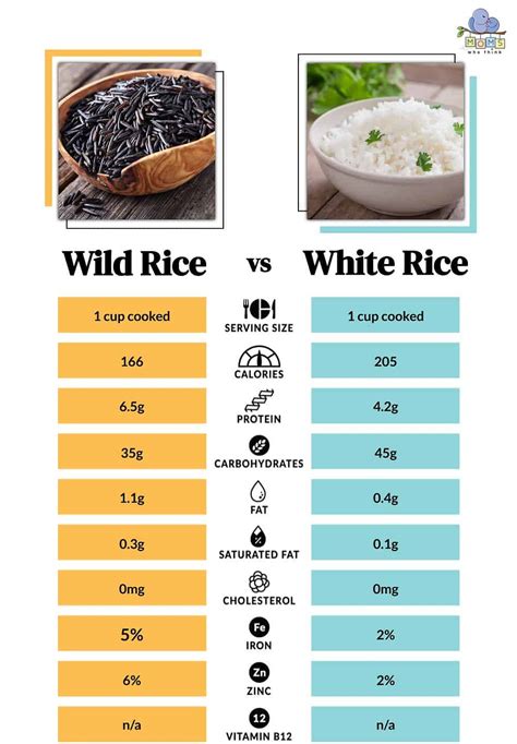 Wild Rice vs. White Rice: Key Differences