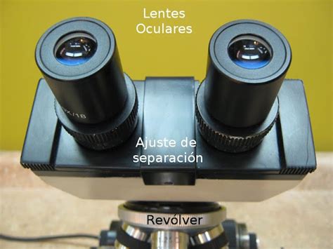 el Blog del Profe de Biolo: Partes del Microscopio óptico y su función