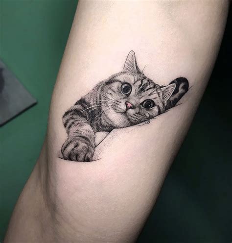 22 personnes qui ont obtenu les tatouages de chats les plus originaux - ipnoze