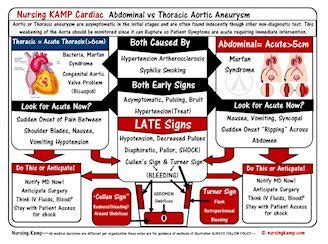 Emergency Room Nurse Skills Checklist #BestNursingSchools | Neonatal nurse, Nurse, Online ...