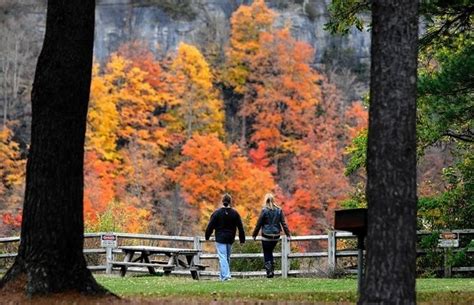 Final days of fall in Upstate NY: 11 fun things you must do by ...