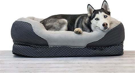 Best Memory Foam Dog Bed Review - Dog N Treats