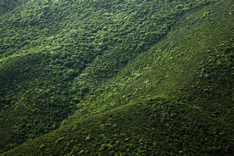 Mountain slope stock photo. Image of pathway, mountainside - 20055822