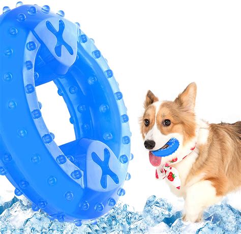 13 Best Dog Toys for Teething Puppies