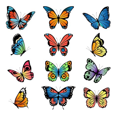 Premium Vector | Various cartoon butterflies. set illustrations butterflies