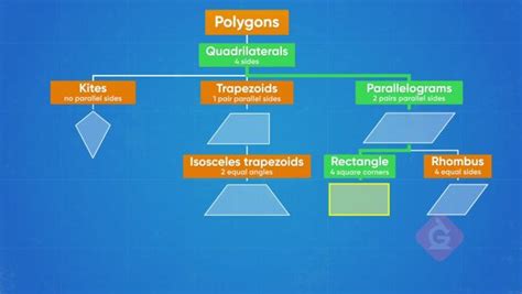 Classify Shapes in a Hierarchy | Math Lesson For Kids | Grades 3-5