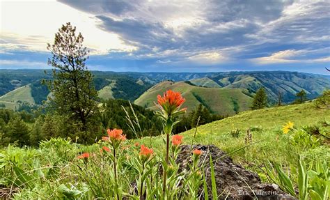 The Whitman Overlook, Umatilla National Forest – Praise Photography