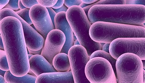 Microorganisms: An introduction - BioCote