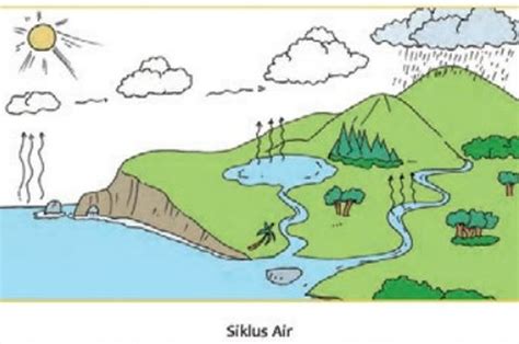 5 Proses Terjadinya Siklus Air, Jawaban Materi Kelas 5 Tema 8 - Semua Halaman - Kids