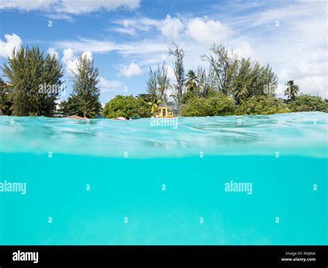 Nauticam housing hi-res stock photography and images - Alamy