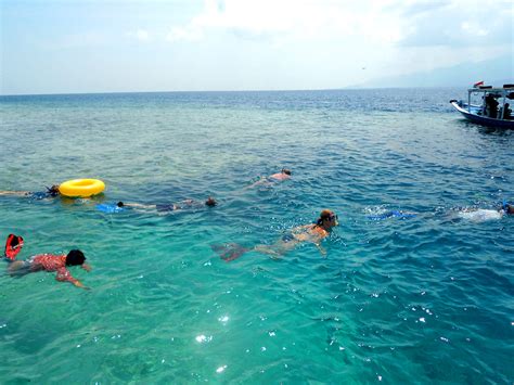 Pulau Menjangan | Snorkeling di Pulau Menjangan, Bali. // Sn… | Flickr