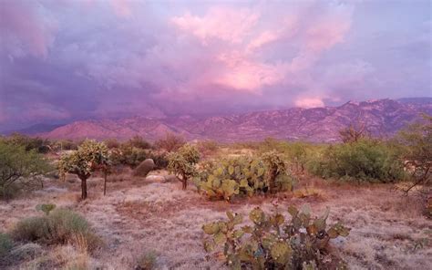 Our 10 Favorite Places to Hike in Tucson, AZ | Southwest Microadventures