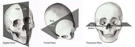 CrossFit | Anatomical Planes & Axes