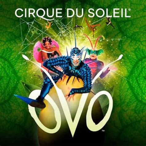 Cirque du Soleil - Ovo - Schedule & Tickets | Boston, MA