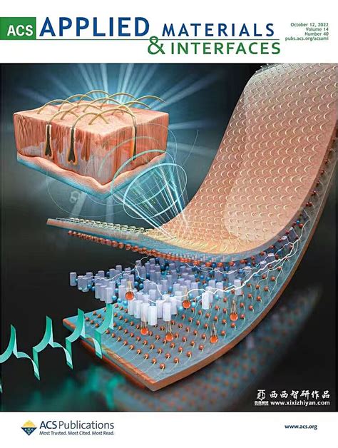 ACS期刊封面图_scihua-站酷ZCOOL