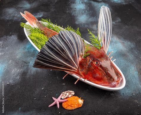 Tub gurnard (Red gurnard) fish on a white plate on black stone background. fresh tub gurnard ...