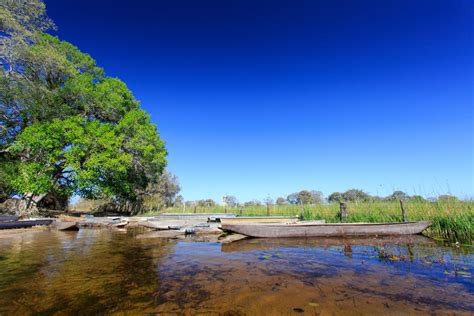 Budget Travel in Maun | Budget Travel Guide