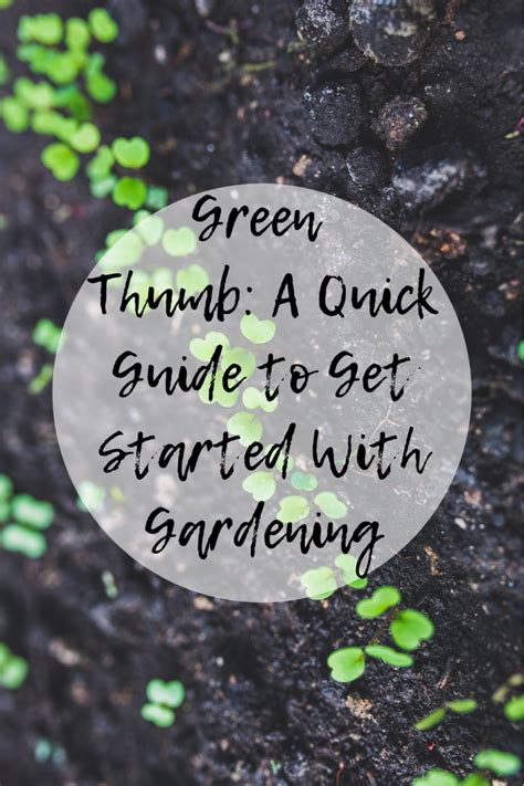 Green Thumb: A Quick Guide to Get Started With Gardening - Mom and More