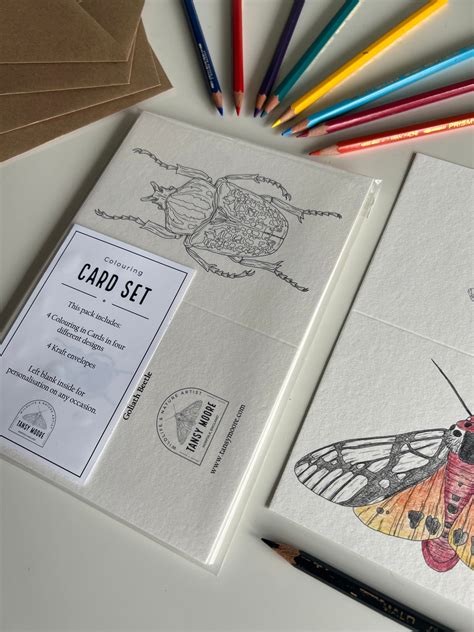 Beetle Colouring in Card Set – TansyMoore