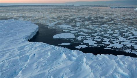 Explainer: The Antarctic Ocean's ecological richness and significance for the global climate ...