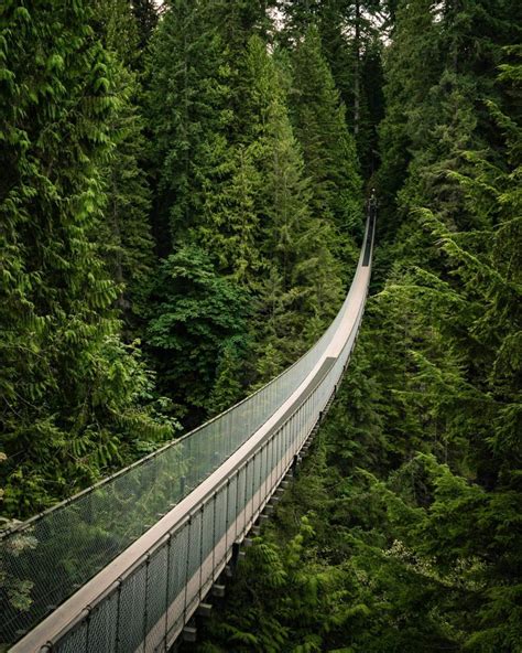 10 Amazing Trails For Hiking in Vancouver