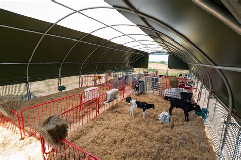 Modern Calf Shelters For Ideal Environments | McGregor Agri