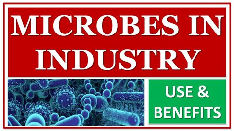 MICROBES IN INDUSTRY | USE & BENEFITS OF MICROORGANISMS | FOOD ...