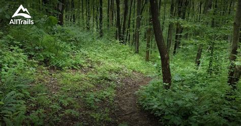 Best Trails in Salt Fork State Park - Ohio | AllTrails