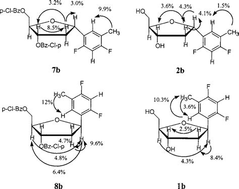 NOE stereochemical analysis of 7b, 8b, 2b, and 1b. | Download ...