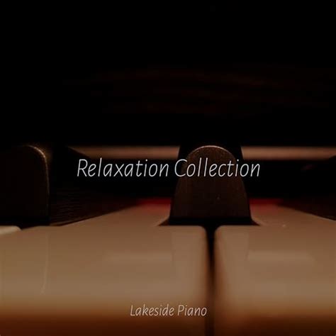 Reproducir Relaxation Collection de Best Relaxing SPA Music, Musica ...