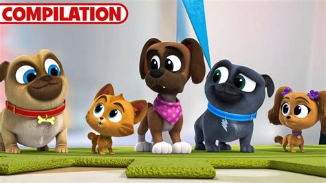 Best of Puppy Dog Pals Season 5 | 51 Minutes | Compilation | Disney Junior - YouTube