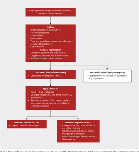 [PDF] Diagnosis and management of patients with polyneuropathy ...