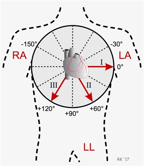 Ecg Vector Heart Monitor Line - Ecg Bipolar Limb Leads PNG Image ...