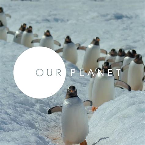 Our Planet | The Webby Awards