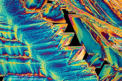 Crystals Photographed with Polarization Microscopy - The Canadian ...