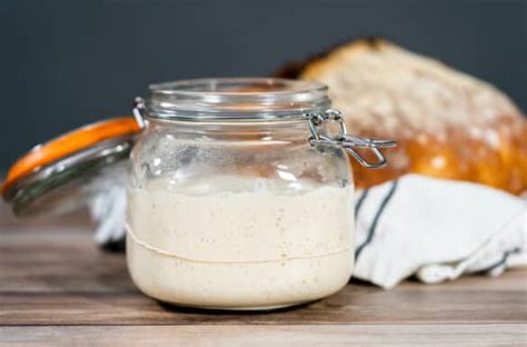 7 Best Jars For A Sourdough Starter In 2023 - Foods Guy