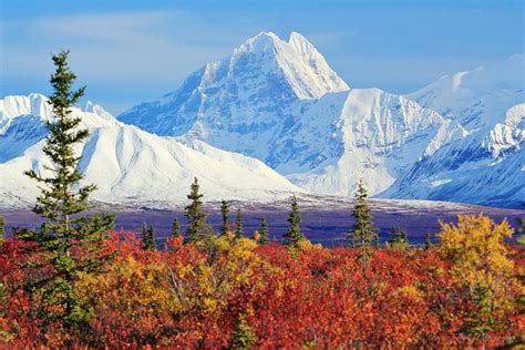 Alaskan Fall Tundra Vista Photograph by David Broome - Pixels