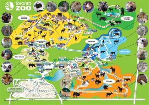 Toronto Zoo Exhibits