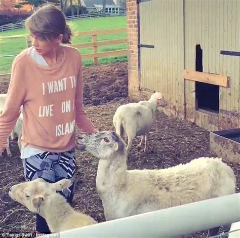 Taylor Swift laments her meeting with a sheep on farm visit | Daily ...