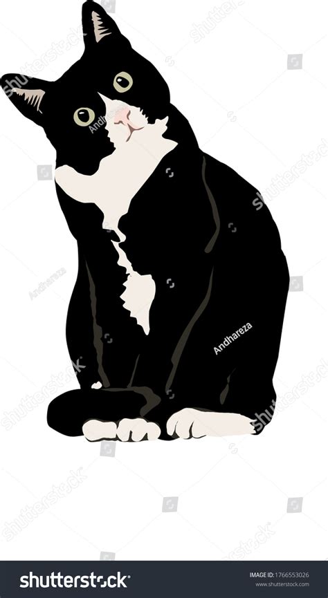 480 Tuxedo Cat Vector Images, Stock Photos & Vectors | Shutterstock