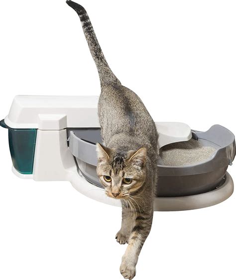 Best Cat Genie Self Cleaning Litter Box - Life Maker