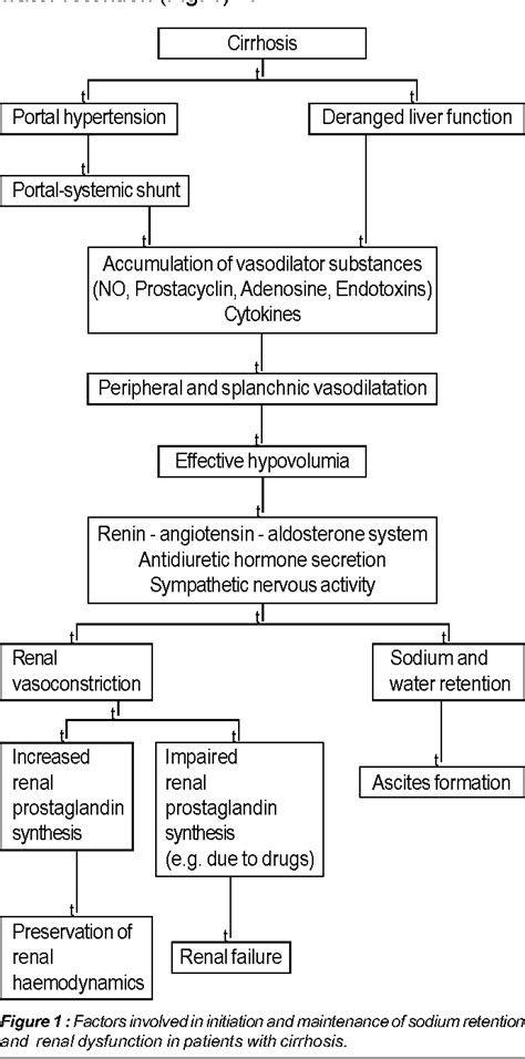 Figure 1 from Ascites : Diagnosis and Management | Semantic Scholar