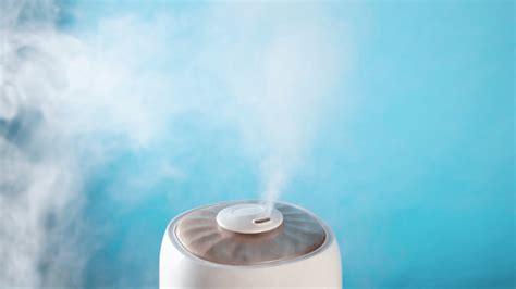 Deciding Between Ultrasonic and Evaporative Humidifiers