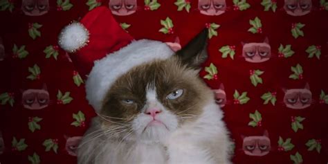 Grumpy Cat Movie Trailer Is Your Early Christmas Gift