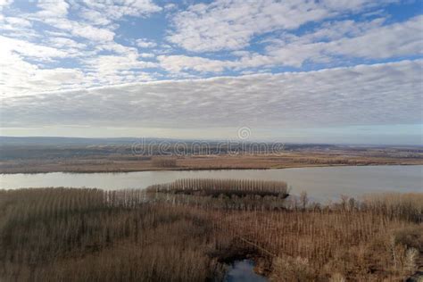 Forest of Plain and Small River in Winter Stock Image - Image of season ...