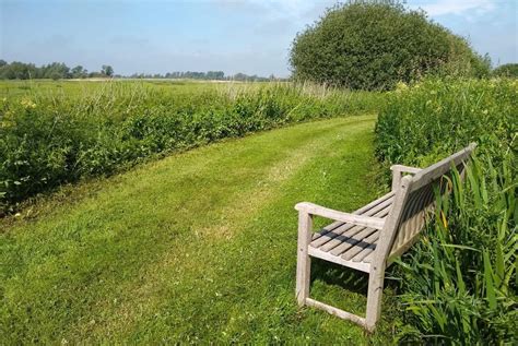 WWT Welney Wetland Centre | Visit Norfolk