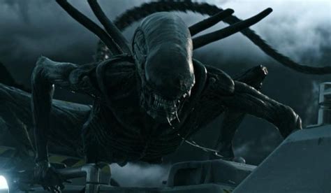 Alien Movie Timeline Explained: All Alien Movies In Order ...