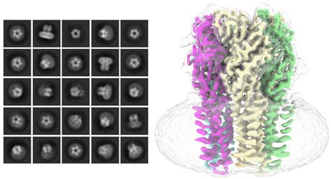 Cryo-EM Incites a “Resolution Revolution,” Rousing Drug Discovery