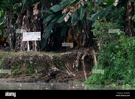 Embera Village, Panama. Panama Embera people Indian Village Indigenous Indio indios natives ...