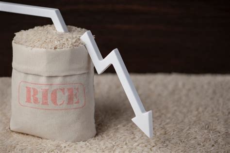 Global food prices are on the rise, so is rice the next victim ...